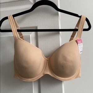 40E Bra